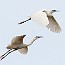 thumbs/IMG_6166.jpg
